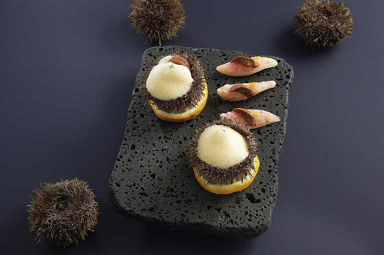 Oursins et langoustines au fenouil