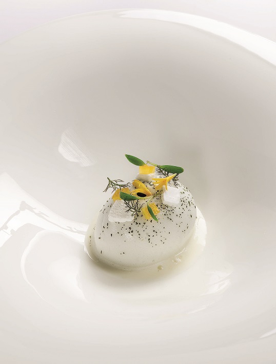 Herbes rafraîchies, citron et lait fermenté