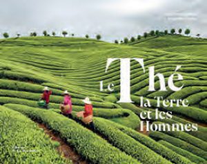 Le Thé, la Terre et les Hommes – Arlette Rohmer