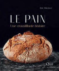 Le Pain, une Croustillante Histoire – Éric Birlouez