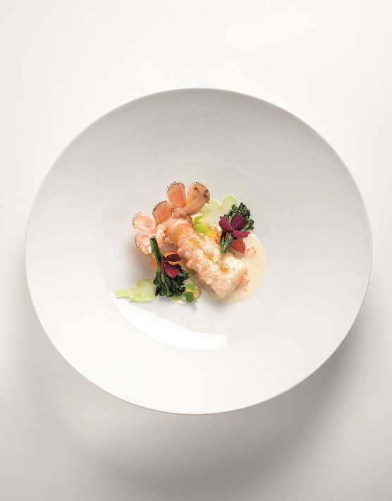 Langoustine sureau