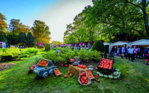 15ème édition du Marché des producteurs aux Crayères