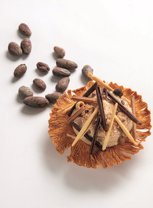 Fève de cacao et liqueur kamok