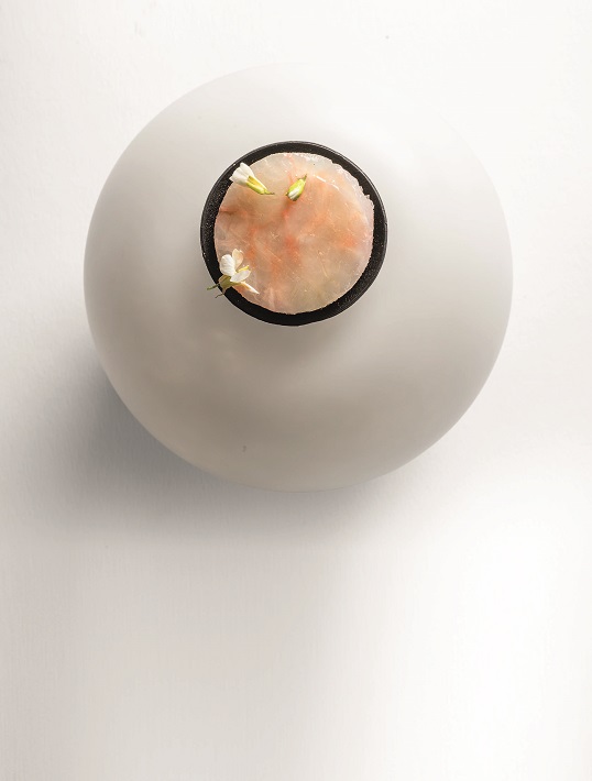 Céleri-rave mijoté, roquette sauvage, langoustine
