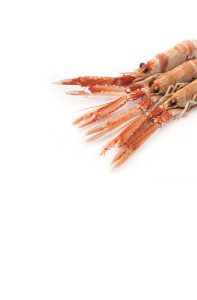 La Langoustine
