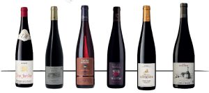 Le Pinot Noir Version Alsace