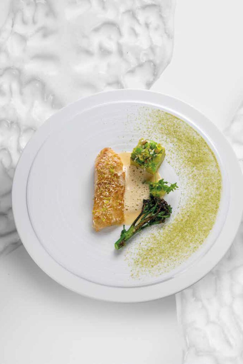 Turbot sauvage, petits pois à la française, fleurs de camomille