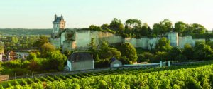Balade dans les Vignes la Vallée de la Loire