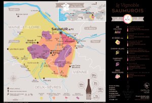 Balade dans les Vignes le Saumurois