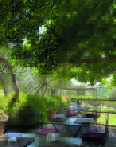 Osteria di Fonterutoli – Castellina in Chianti