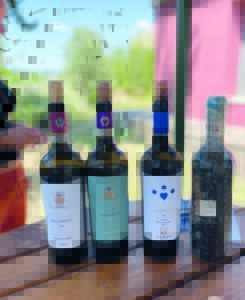Carus Vini
